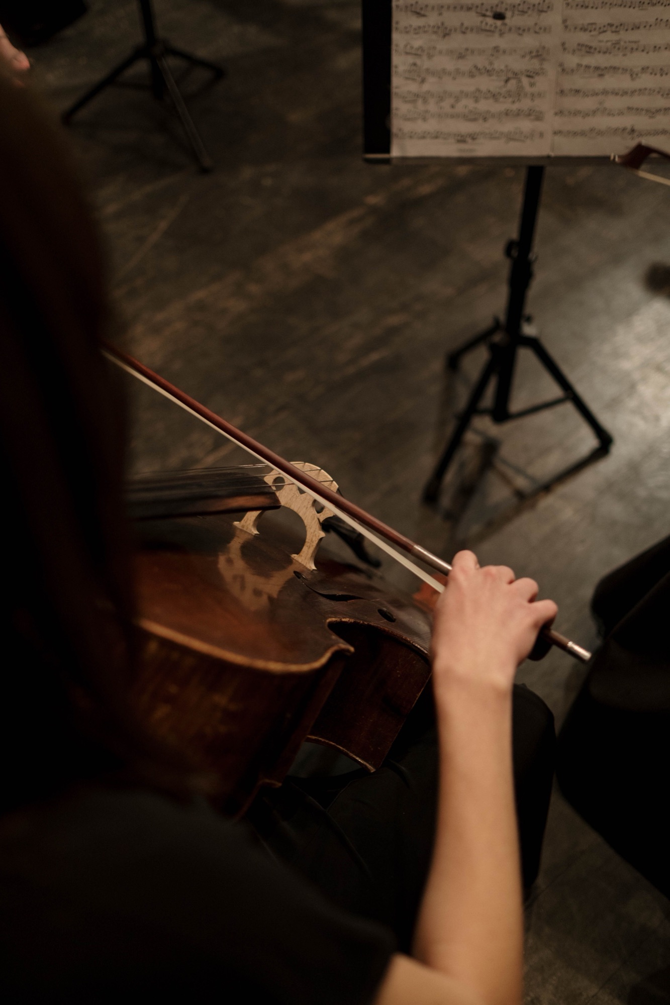 Cello and bow close-up